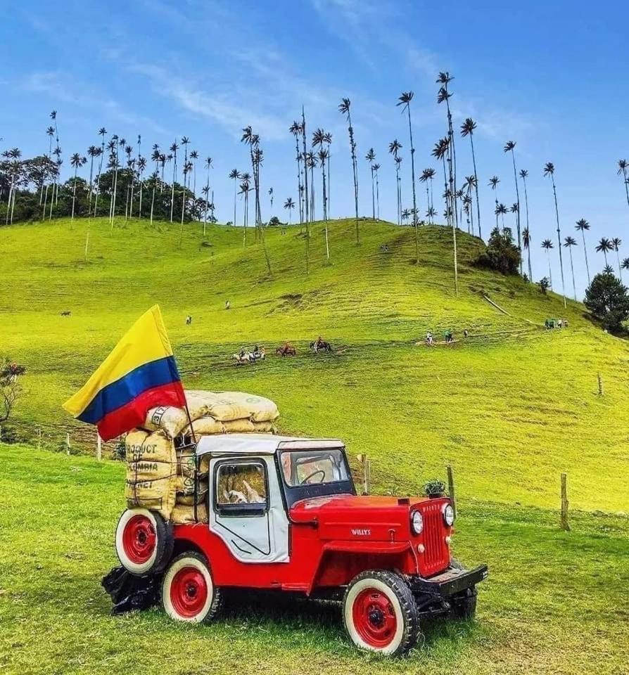 Casa Roma - La Tranquilidad Del Campo En La Ciudad - Rnt 1 0 8 1 3 7- Villa Salento Buitenkant foto